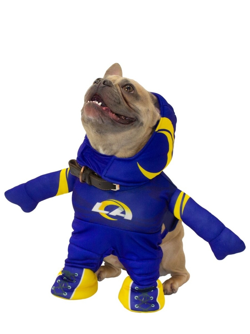 NFL LA RAMS -Inspired Dog Hoodie Costume